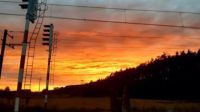 wiosna4 (Copy)